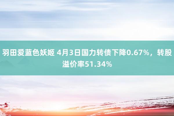 羽田爱蓝色妖姬 4月3日国力转债下降0.67%，转股溢价率51.34%