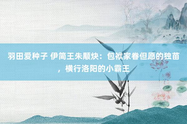 羽田爱种子 伊简王朱颙炔：包袱家眷但愿的独苗，横行洛阳的小霸王