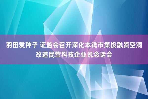 羽田爱种子 证监会召开深化本钱市集投融资空洞改造民营科技企业说念话会