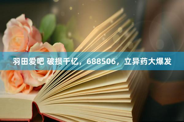羽田爱吧 破损千亿，688506，立异药大爆发