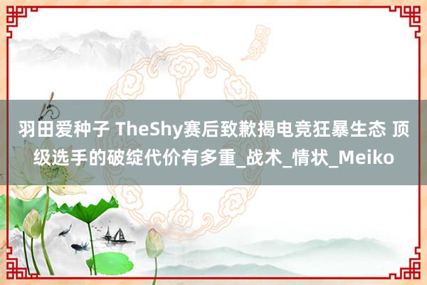 羽田爱种子 TheShy赛后致歉揭电竞狂暴生态 顶级选手的破绽代价有多重_战术_情状_Meiko