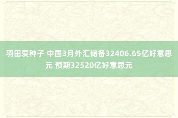 羽田爱种子 中国3月外汇储备32406.65亿好意思元 预期32520亿好意思元