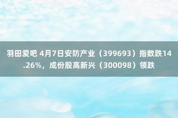 羽田爱吧 4月7日安防产业（399693）指数跌14.26%，成份股高新兴（300098）领跌