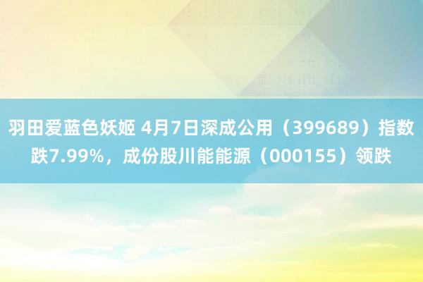 羽田爱蓝色妖姬 4月7日深成公用（399689）指数跌7.99%，成份股川能能源（000155）领跌