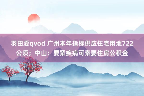 羽田爱qvod 广州本年指标供应住宅用地722公顷；中山：要紧疾病可索要住房公积金