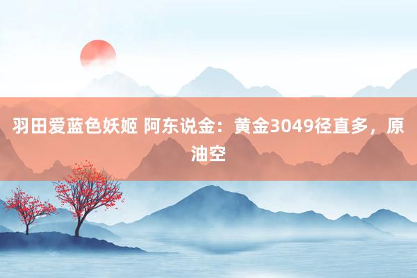 羽田爱蓝色妖姬 阿东说金：黄金3049径直多，原油空