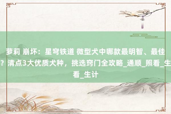 萝莉 崩坏：星穹铁道 微型犬中哪款最明智、最佳养？清点3大优质犬种，挑选窍门全攻略_通顺_照看_生计