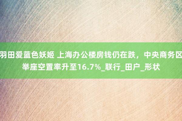 羽田爱蓝色妖姬 上海办公楼房钱仍在跌，中央商务区举座空置率升至16.7%_联行_田户_形状