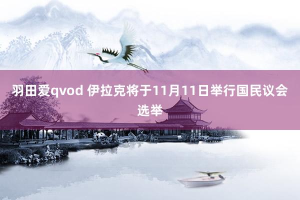 羽田爱qvod 伊拉克将于11月11日举行国民议会选举