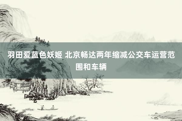 羽田爱蓝色妖姬 北京畅达两年缩减公交车运营范围和车辆