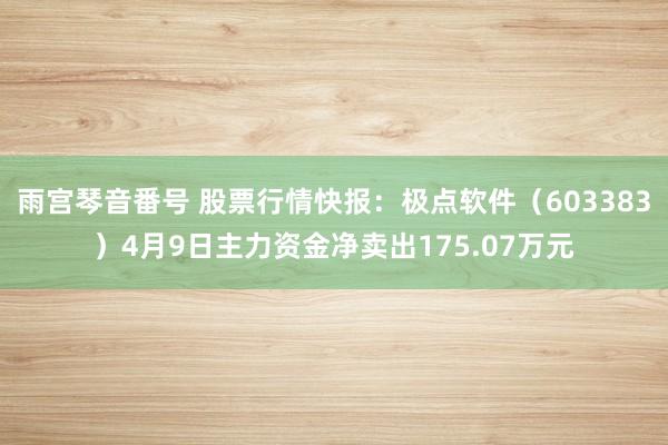 雨宫琴音番号 股票行情快报：极点软件（603383）4月9日主力资金净卖出175.07万元