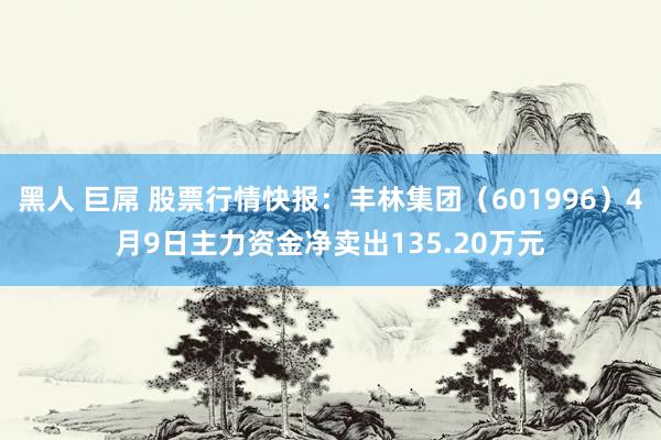 黑人 巨屌 股票行情快报：丰林集团（601996）4月9日主力资金净卖出135.20万元