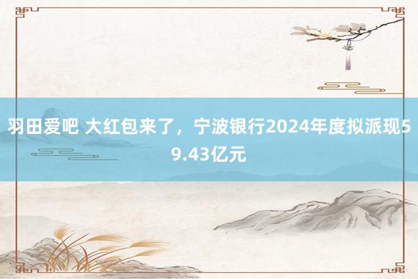 羽田爱吧 大红包来了，宁波银行2024年度拟派现59.43亿元