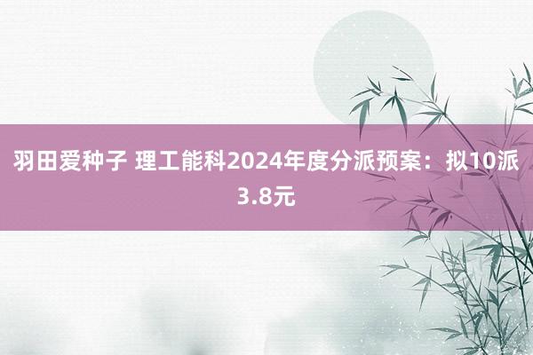 羽田爱种子 理工能科2024年度分派预案：拟10派3.8元