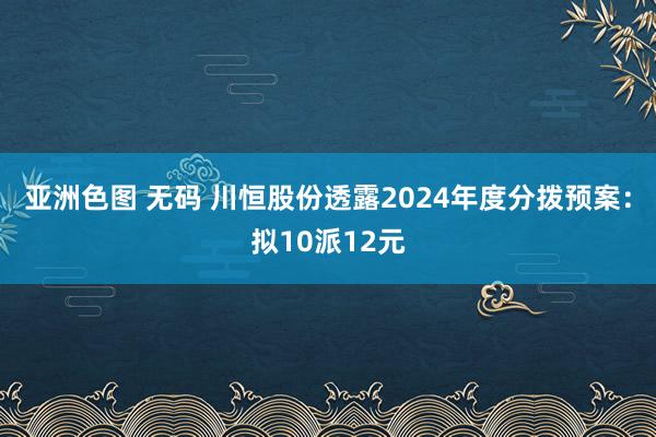亚洲色图 无码 川恒股份透露2024年度分拨预案：拟10派12元