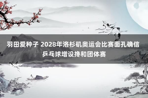 羽田爱种子 2028年洛杉矶奥运会比赛面孔确信 乒乓球增设搀和团体赛