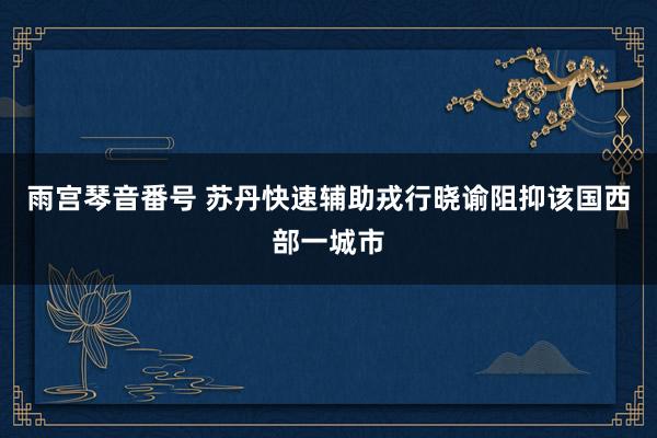雨宫琴音番号 苏丹快速辅助戎行晓谕阻抑该国西部一城市