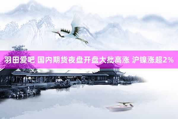 羽田爱吧 国内期货夜盘开盘大批高涨 沪镍涨超2%