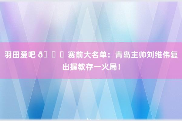 羽田爱吧 👀赛前大名单：青岛主帅刘维伟复出握教存一火局！