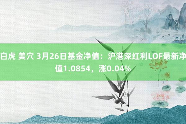 白虎 美穴 3月26日基金净值：沪港深红利LOF最新净值1.0854，涨0.04%
