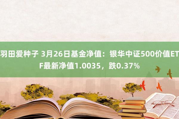 羽田爱种子 3月26日基金净值：银华中证500价值ETF最新净值1.0035，跌0.37%