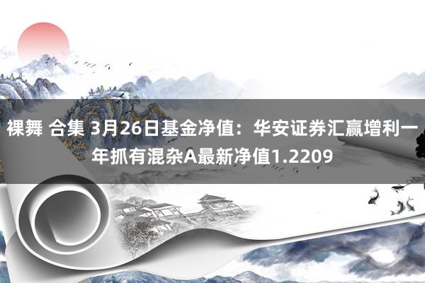 裸舞 合集 3月26日基金净值：华安证券汇赢增利一年抓有混杂A最新净值1.2209