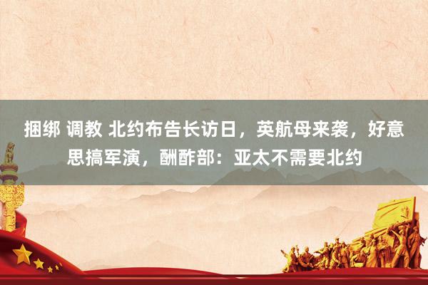 捆绑 调教 北约布告长访日，英航母来袭，好意思搞军演，酬酢部：亚太不需要北约