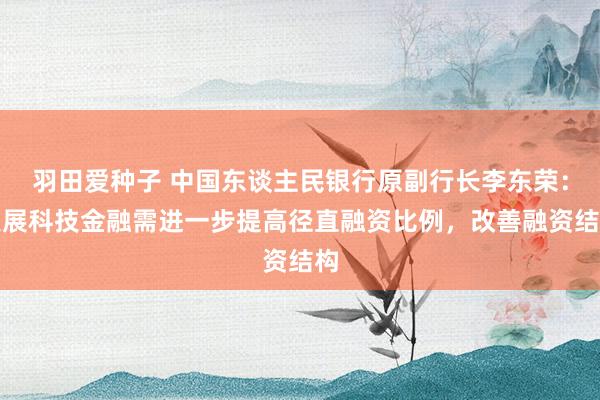 羽田爱种子 中国东谈主民银行原副行长李东荣：发展科技金融需进一步提高径直融资比例，改善融资结构