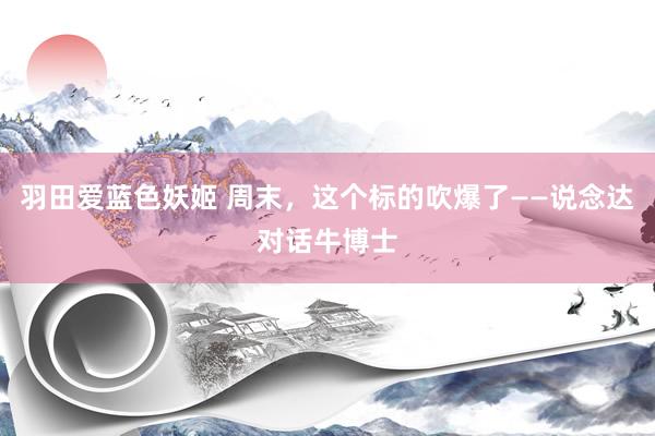 羽田爱蓝色妖姬 周末，这个标的吹爆了——说念达对话牛博士