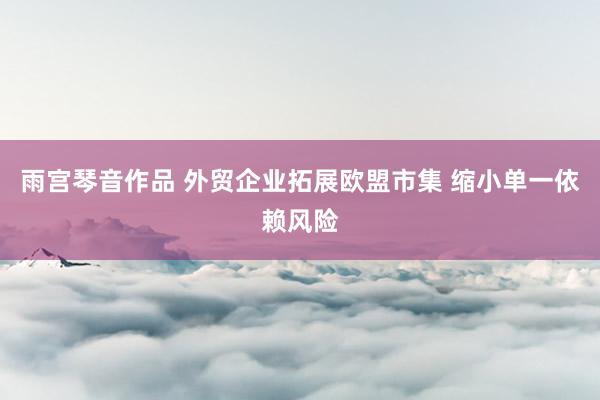 雨宫琴音作品 外贸企业拓展欧盟市集 缩小单一依赖风险