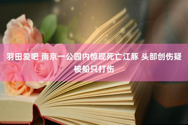 羽田爱吧 南京一公园内惊现死亡江豚 头部创伤疑被船只打伤