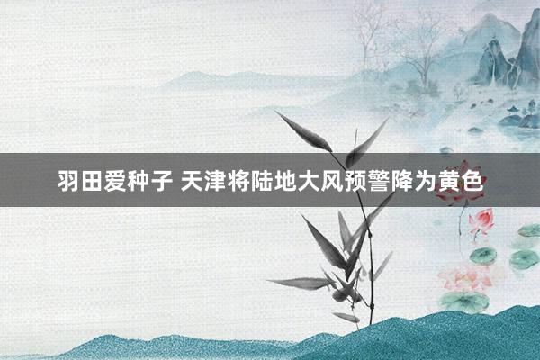 羽田爱种子 天津将陆地大风预警降为黄色