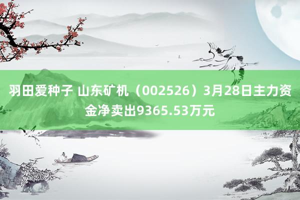 羽田爱种子 山东矿机（002526）3月28日主力资金净卖出9365.53万元