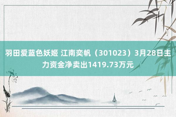 羽田爱蓝色妖姬 江南奕帆（301023）3月28日主力资金净卖出1419.73万元
