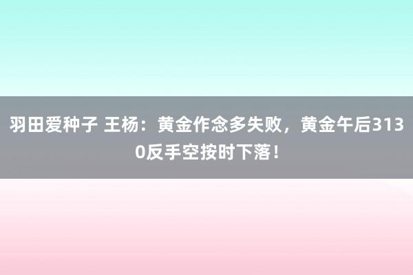 羽田爱种子 王杨：黄金作念多失败，黄金午后3130反手空按时下落！