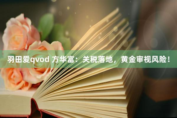 羽田爱qvod 方华富：关税落地，黄金审视风险！