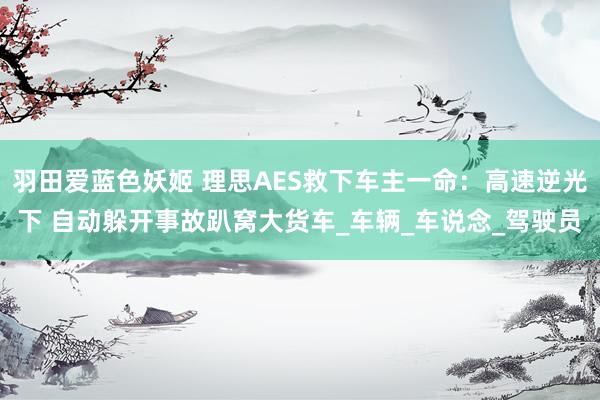 羽田爱蓝色妖姬 理思AES救下车主一命：高速逆光下 自动躲开事故趴窝大货车_车辆_车说念_驾驶员