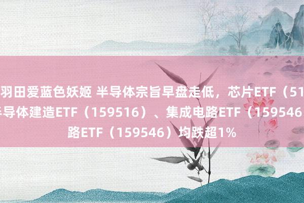 羽田爱蓝色妖姬 半导体宗旨早盘走低，芯片ETF（512760）、半导体建造ETF（159516）、集成电路ETF（159546）均跌超1%