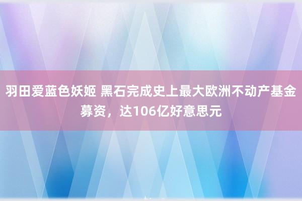 羽田爱蓝色妖姬 黑石完成史上最大欧洲不动产基金募资，达106亿好意思元