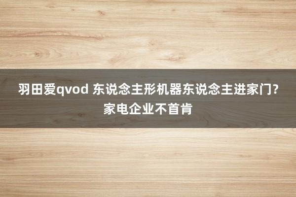 羽田爱qvod 东说念主形机器东说念主进家门？家电企业不首肯