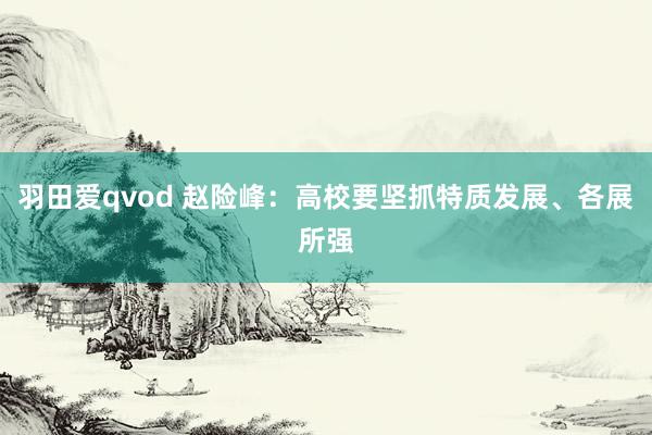 羽田爱qvod 赵险峰：高校要坚抓特质发展、各展所强