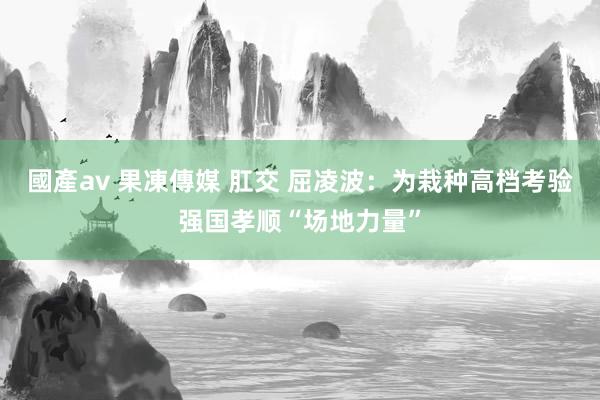 國產av 果凍傳媒 肛交 屈凌波：为栽种高档考验强国孝顺“场地力量”