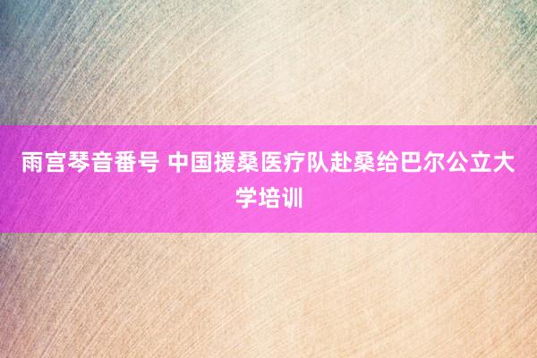 雨宫琴音番号 中国援桑医疗队赴桑给巴尔公立大学培训