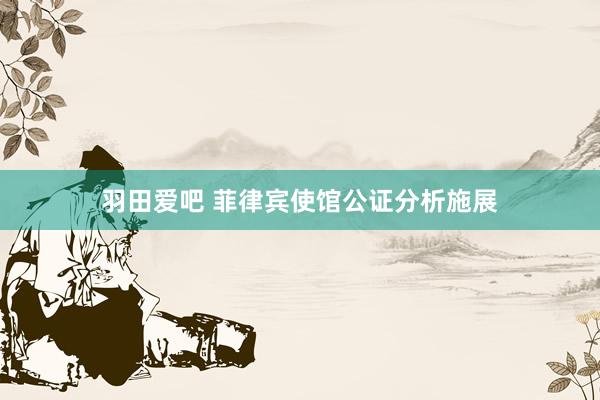 羽田爱吧 菲律宾使馆公证分析施展