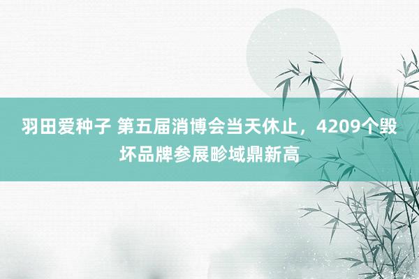 羽田爱种子 第五届消博会当天休止，4209个毁坏品牌参展畛域鼎新高