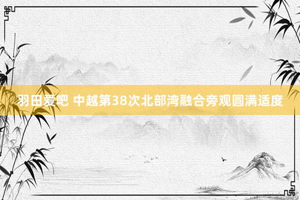 羽田爱吧 中越第38次北部湾融合旁观圆满适度