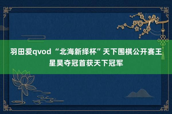 羽田爱qvod “北海新绎杯”天下围棋公开赛王星昊夺冠首获天下冠军