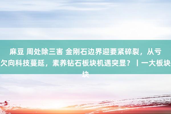麻豆 周处除三害 金刚石边界迎要紧碎裂，从亏欠向科技蔓延，素养钻石板块机遇突显？丨一大板块