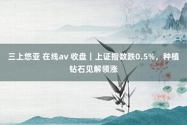 三上悠亚 在线av 收盘｜上证指数跌0.5%，种植钻石见解领涨