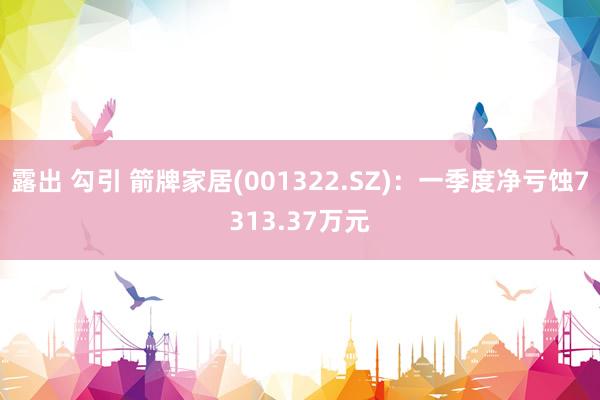 露出 勾引 箭牌家居(001322.SZ)：一季度净亏蚀7313.37万元